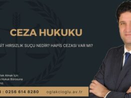 Basit Hırsızlık Suçu Nedir Hapis Cezası Var mı